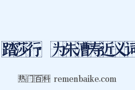 踏莎行·为朱漕寿近义词是什么意思的图片